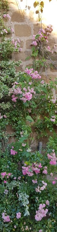 220708 ros retom gemma tgr.jpg