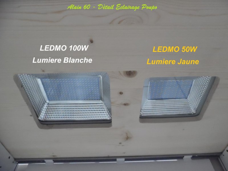 LEDMO +.JPG