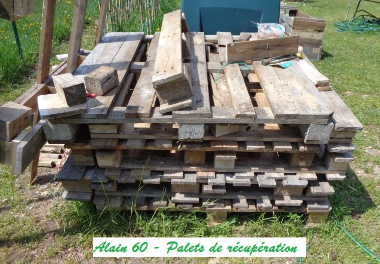 Palet.JPG