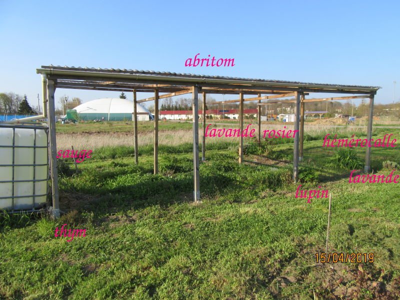 abritom.jpg