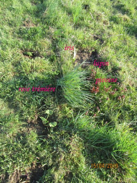 bordure.jpg