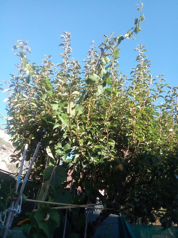 IMG_20220803_081012.jpg