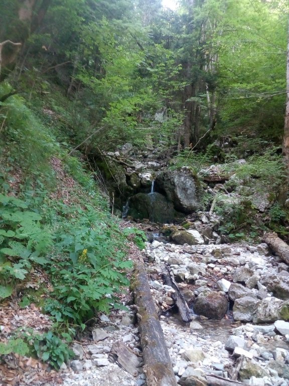 IMG_20220808_103443.jpg