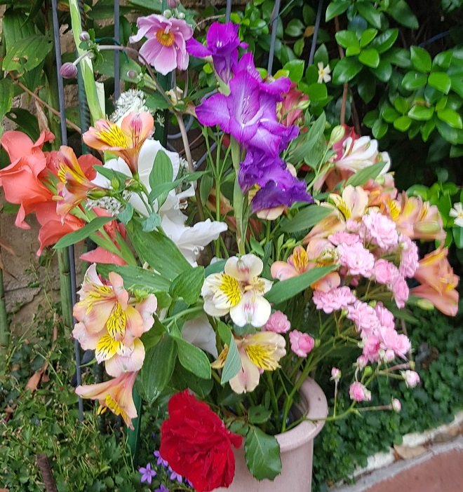 220820 bouquet   .jpg