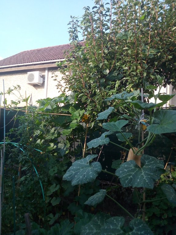 IMG_20220826_091840.jpg
