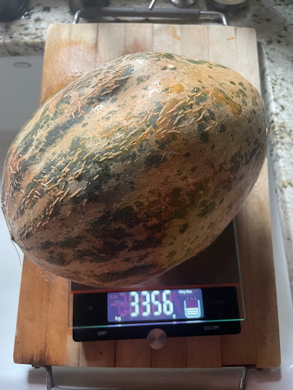 Melon de Lunéville