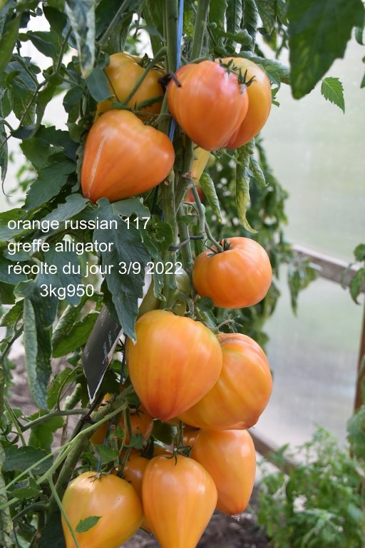 DSC_9226.JPG