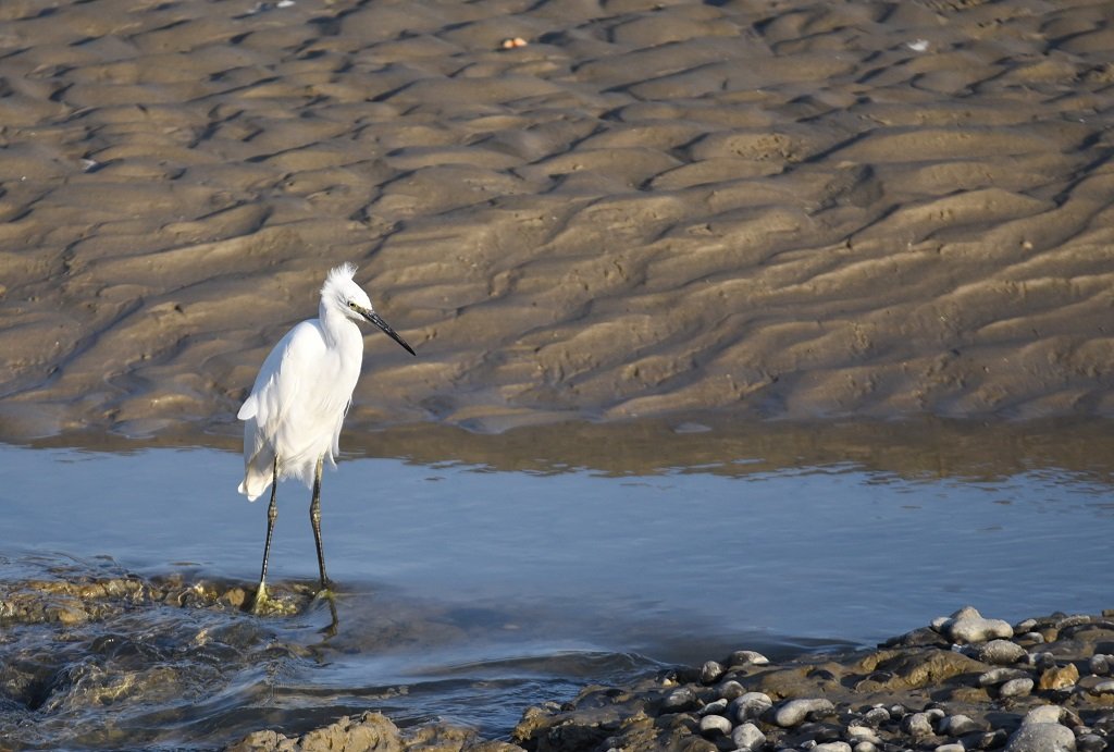 DSC_6574.JPG
