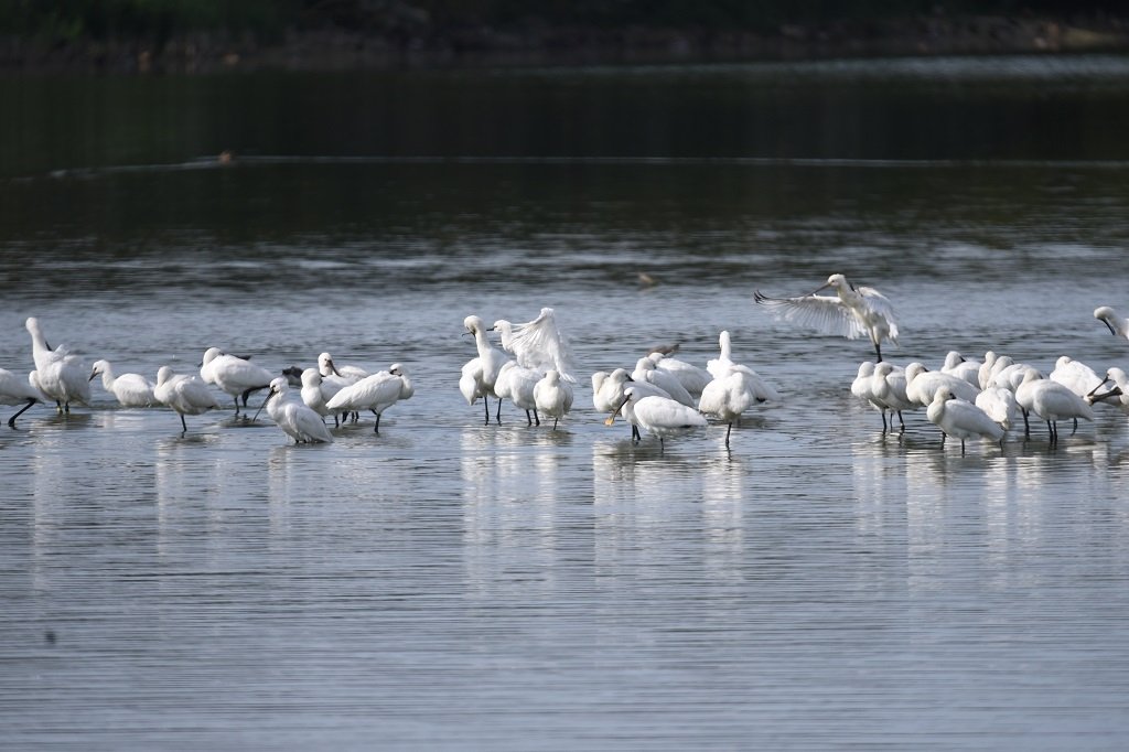 DSC_6770.JPG