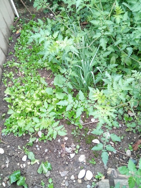 IMG_20220930_152152.jpg