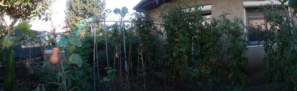 IMG_20221011_093436.jpg