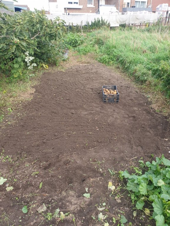 221014 pdt récoltées.jpg