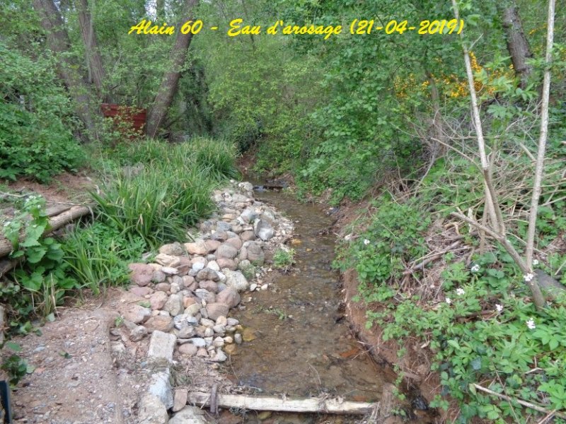Riviere.JPG