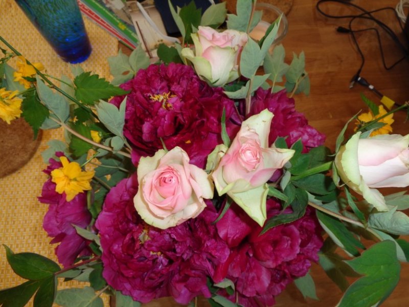 Pivoine 5.JPG