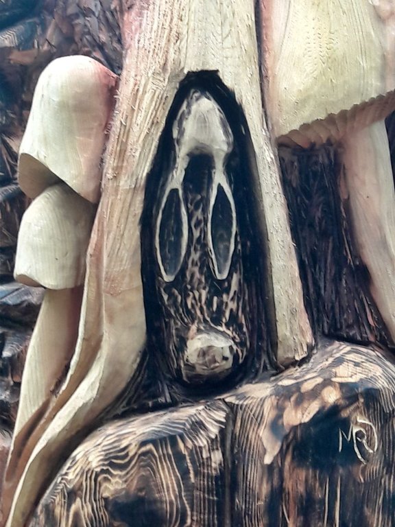 sequoia6.jpeg