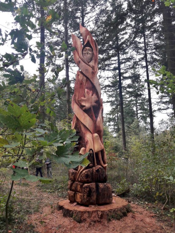 sequoia4.jpeg