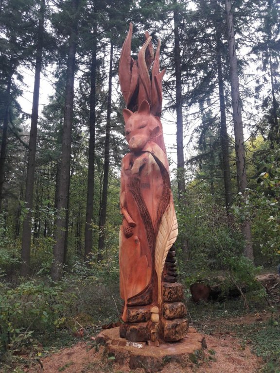 sequoia3.jpeg