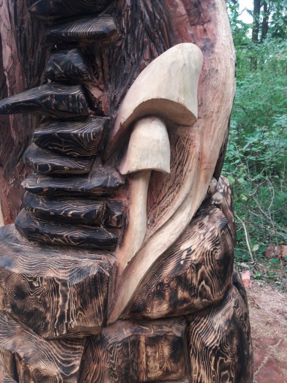 sequoia2.jpeg