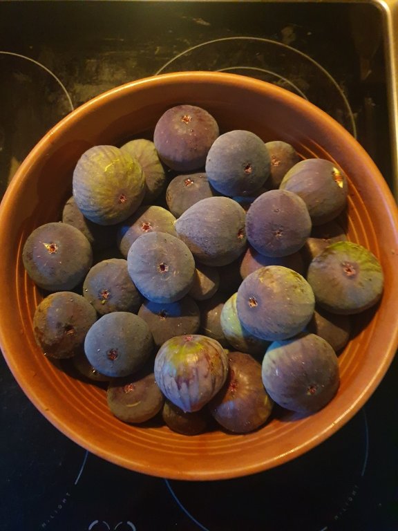 221024 figues_2.jpg