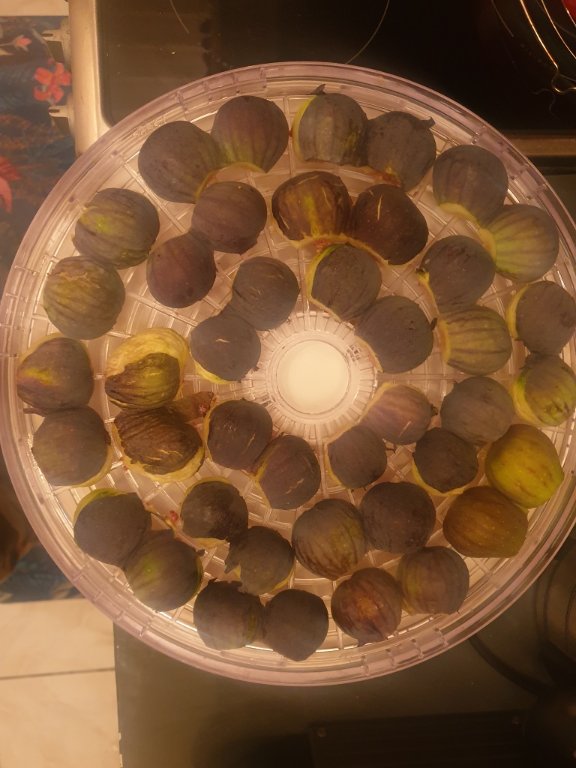 221025 plateau de figues.jpg
