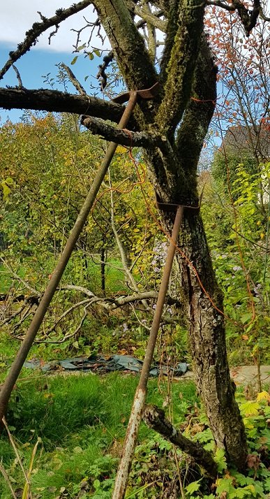 221020 poir will 40 ans     .jpg