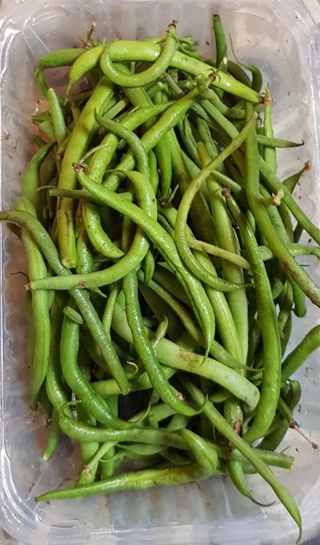 221027 haricots fin.jpg