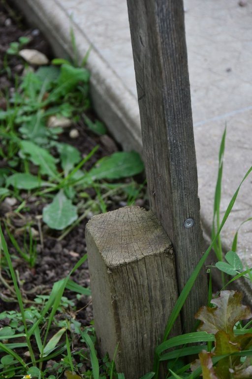 DSC_0881.JPG