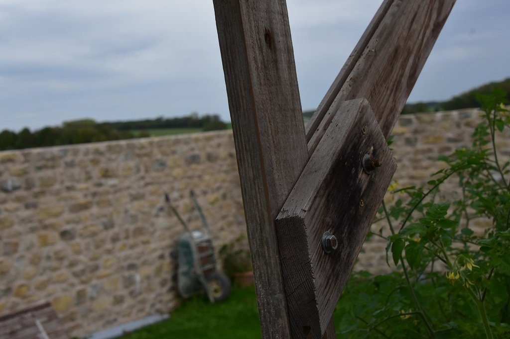 DSC_0884.JPG