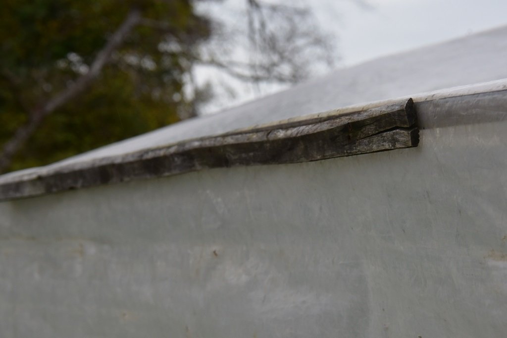 DSC_0889.JPG