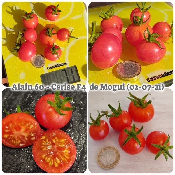 F4 Mogui 2021.jpg