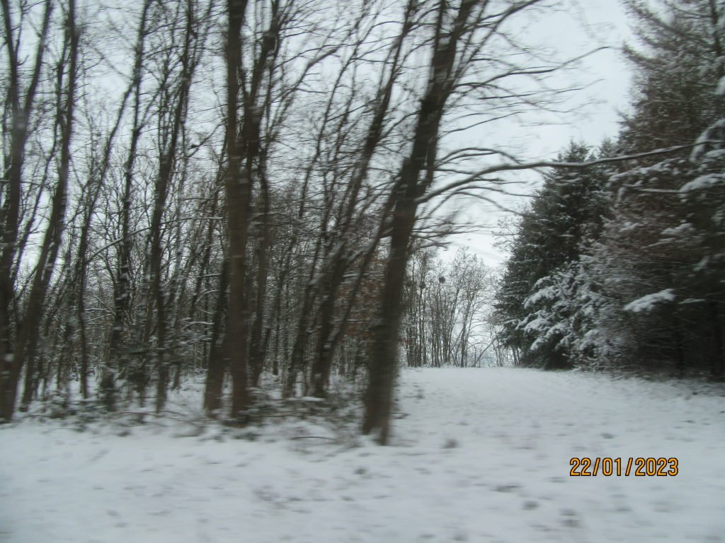 bord de route neige.jpeg