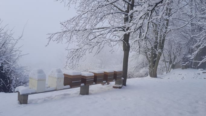 20230121_104641 - Copie.jpg