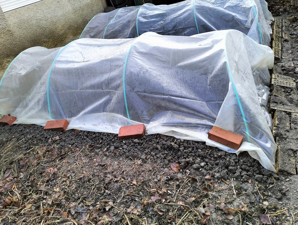 IMG20230309090257.jpg