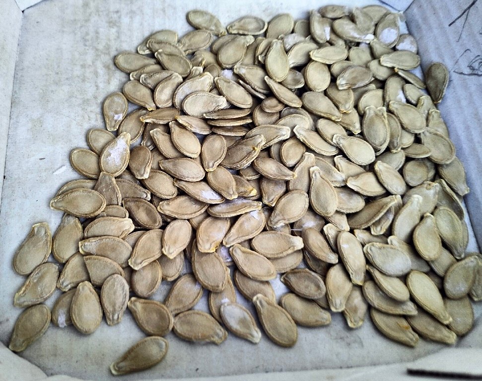 IMG20230309085731.jpg