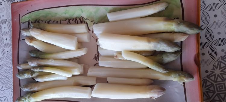 asperges avril 2023.jpg
