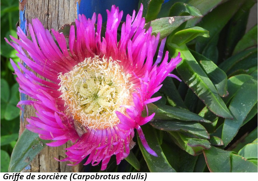 DSCN8939.JPG