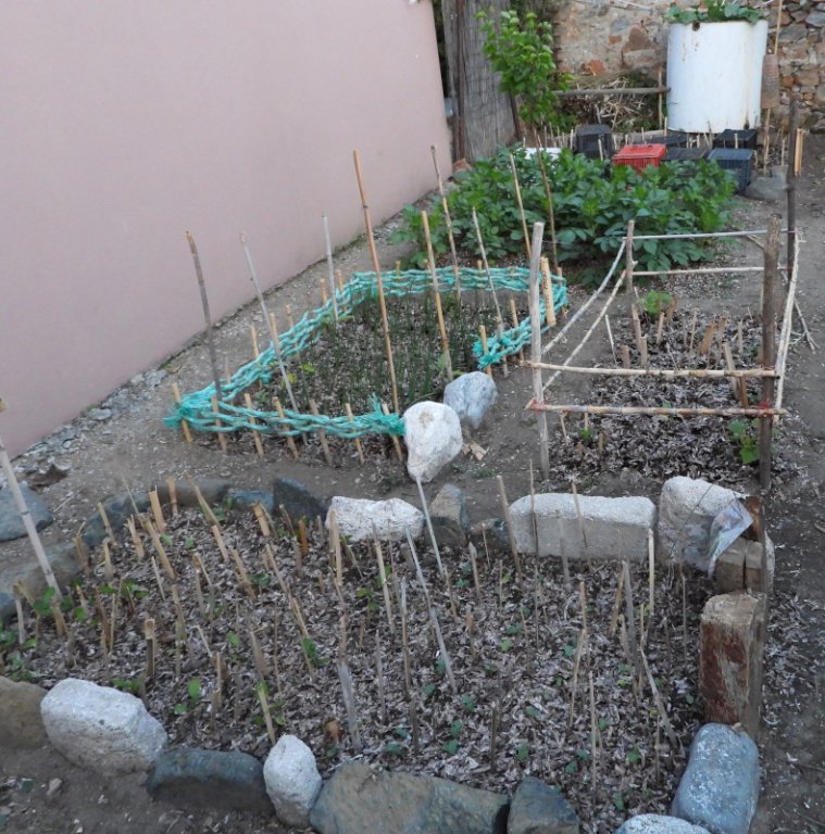 DSCN9004.JPG