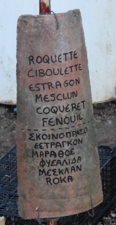 DSCN9005.JPG