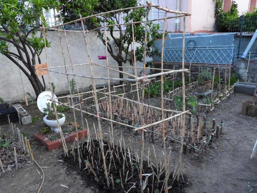 DSCN9008.JPG