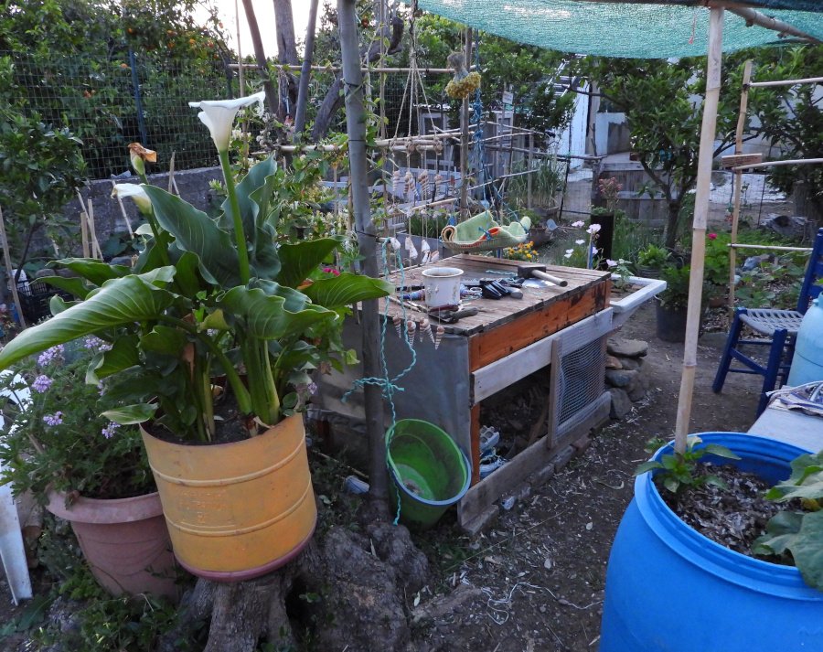 DSCN9009.JPG