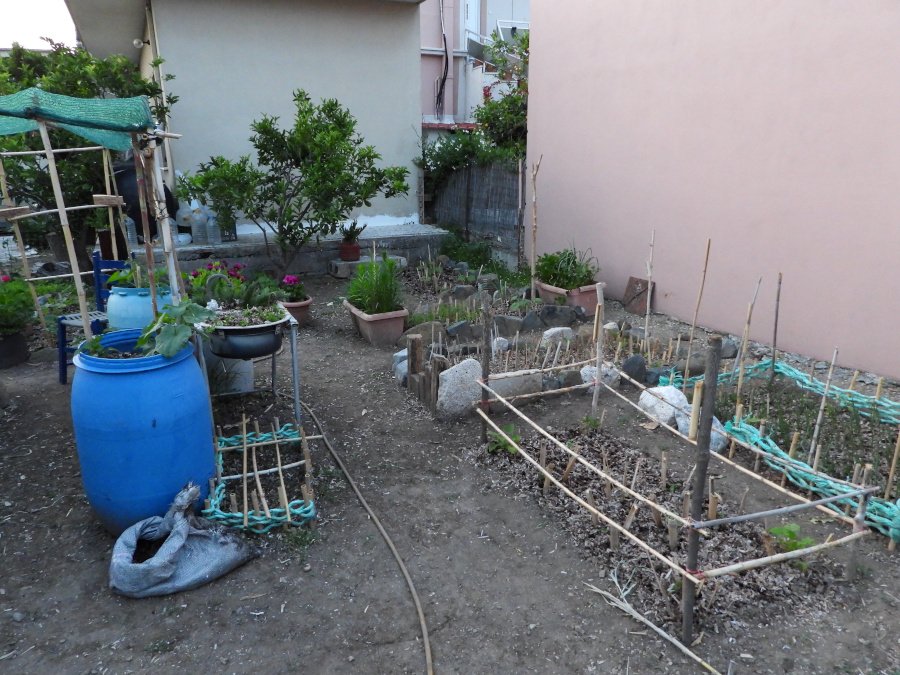 DSCN9010.JPG