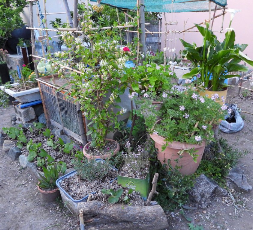 DSCN9013.JPG