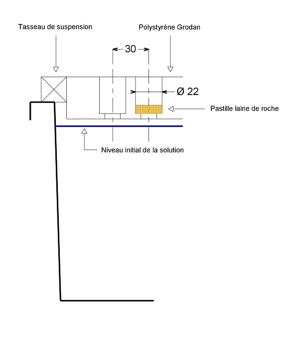 Radis section.jpg