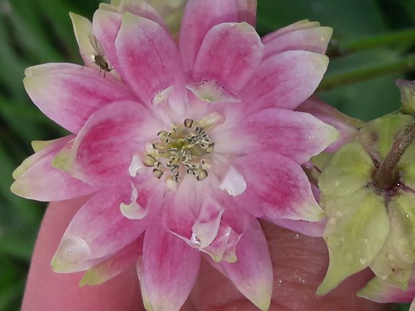 20190504_130003.jpg