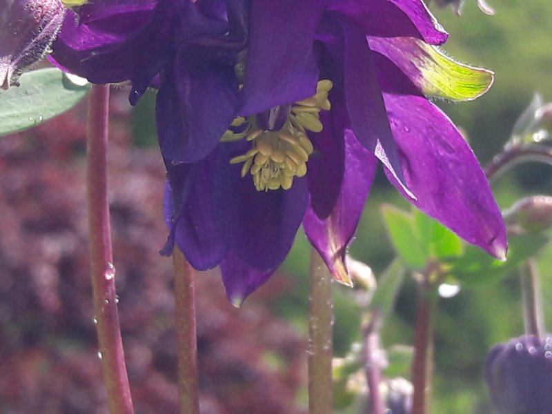 20190504_125916.jpg