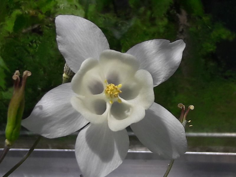 20190504_125536.jpg