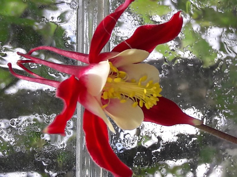 20190504_125418.jpg