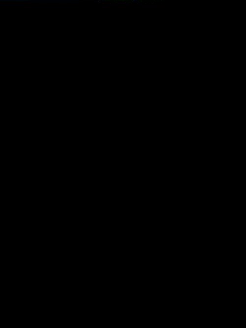 1''.JPG