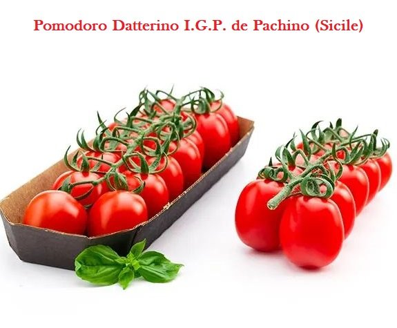 1_pomodoro_datterino_siciliano IGP.jpg