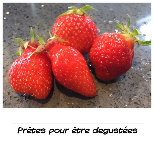 AA76F20F-F81B-40F5-8454-020F535155C3.jpeg